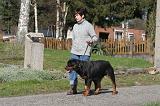 PROMENER 319